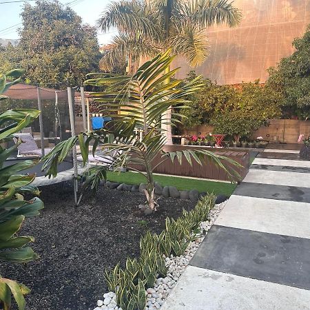 לוס יאנוס דה אריאדנה Villa Mamita מראה חיצוני תמונה